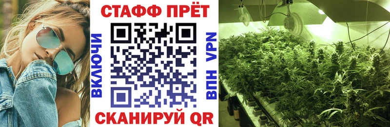Что такое Лодейное Поле ГАШИШ Кокаин Мефедрон Конопля