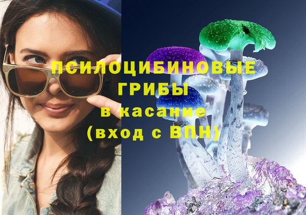 шишки Алексин