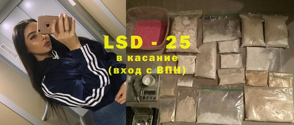 шишки Алексин