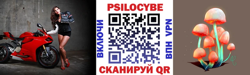 Псилоцибиновые грибы Psilocybine cubensis как найти закладки Лодейное Поле
