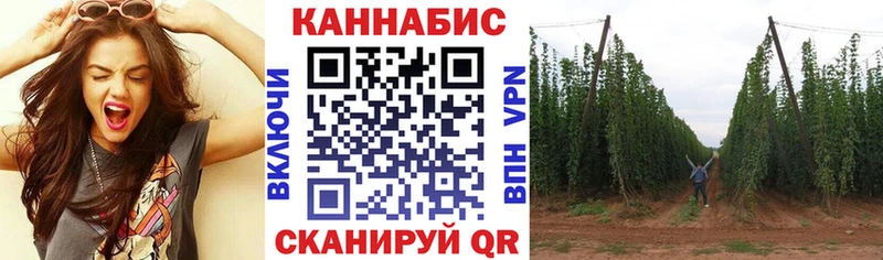 Каннабис White Widow  Лодейное Поле 